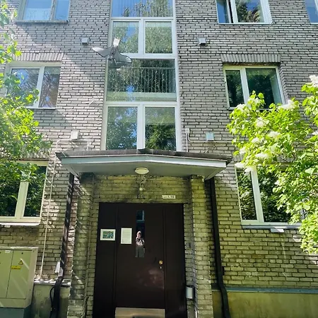 Stylish In City, Near D-terminal