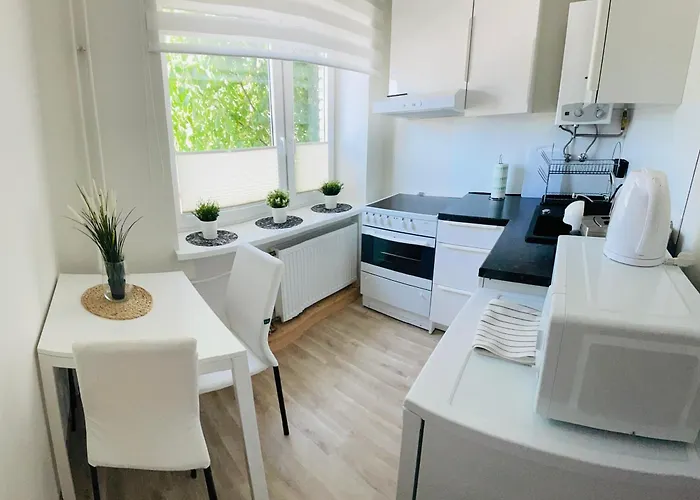 Stylish In City, Near D-terminal * تالين