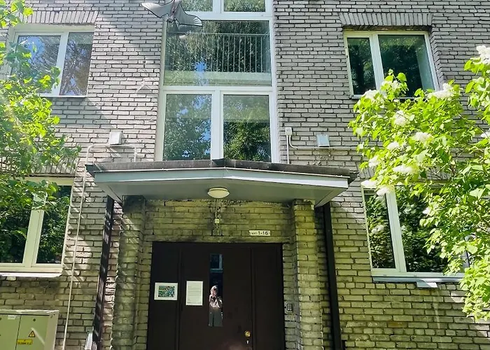 Stylish In City, Near D-terminal